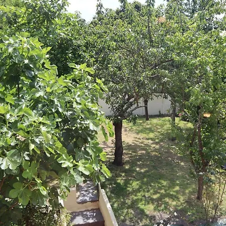 Le Domaine Des Figuiers - Des Pelerins Servon (Manche)