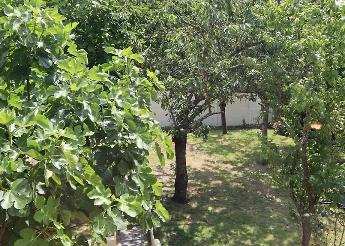 Le Domaine Des Figuiers - Des Pelerins Servon (Manche)